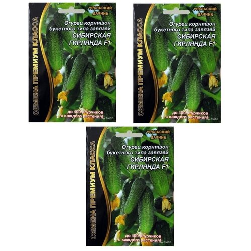 ������ ������ ������ ������ ��������� �������� (��������� ������), �������� 3 ����� ����