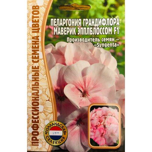 ������ ������ ������ ���������� ����������� 