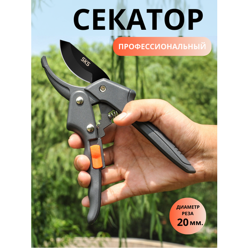 ������ ������ ������� ��� ���� ���������������� ����