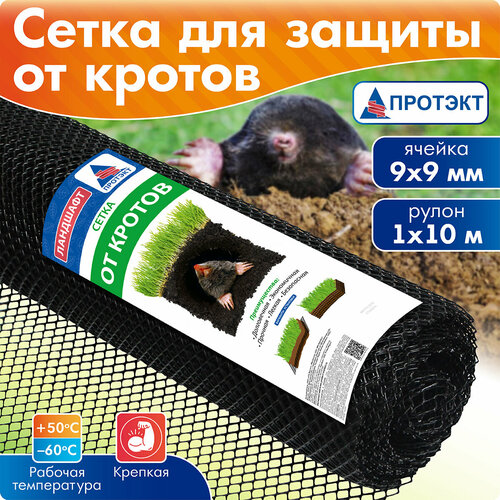 ������ ������ ����� �������� ������� �-9/1/10, 10 � 1 � 1 �, ������ ����