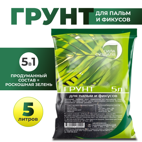 ������ ������ ����� ���� ������� ��� ����� � �������, 5 �, 2.6 �� ����