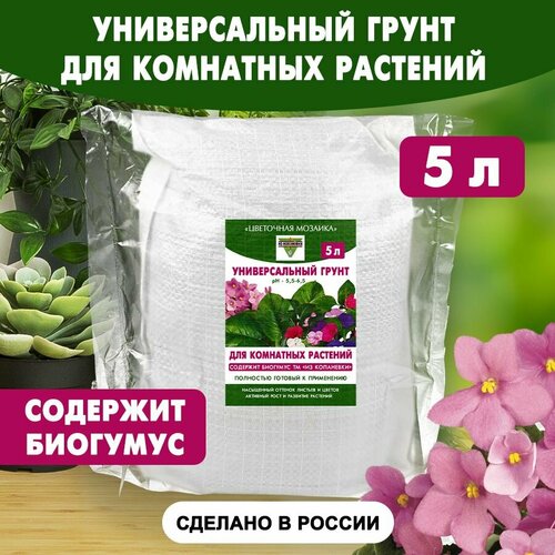 ������ ������ ������������� ����� ��� ��������� �������� 5 � ����