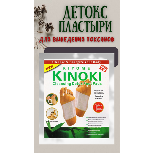 ������ ������ �������� ��� ���� � ������� AnigiN - 10 ���� ����