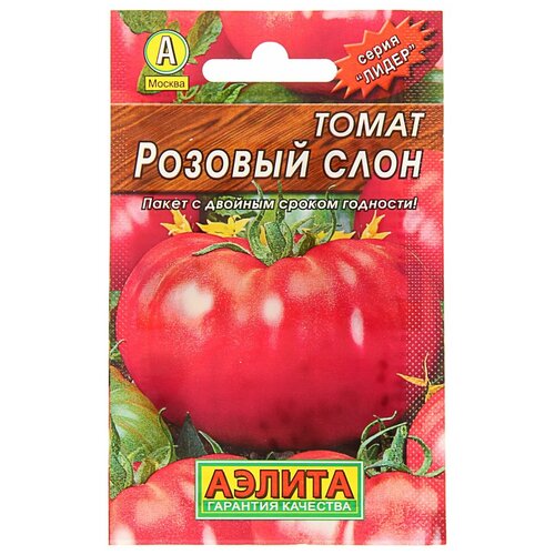 ������ ������ ������ ����� 