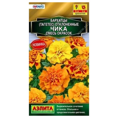 ������ ������ ������. �������� ����������� 