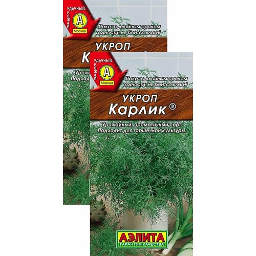 ������ ������ ����� ������ (3 �), 2 ������ ����