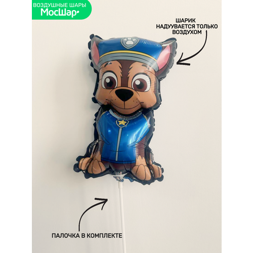 ������ ������ ��� �� ������� ���� ������ ������� ������� ���� ����