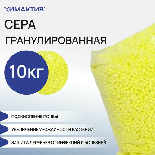 ������ ������ ���� ��������������� 10 �� , ��� ��������, ��������, ��������� �������� ����