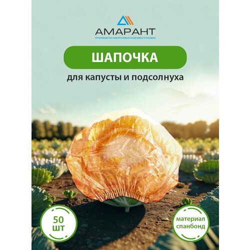 ������ ������ ������� ������� ��� ������� � ����������, ��������� 50 �� ����