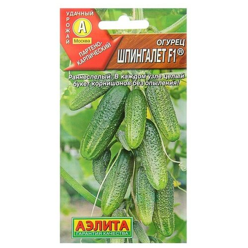 ������ ������ ������ ��������� F1 10�� ������ ����