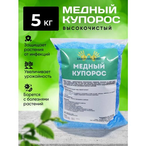 ������ ������ ������ �������, �� ������� � ������ 5 �� ����