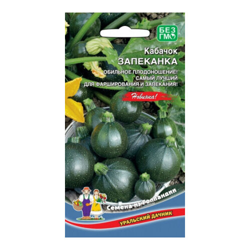 ������ ������ ������ ������� ��������� ������� 6�� ������ (��������� ������) ����