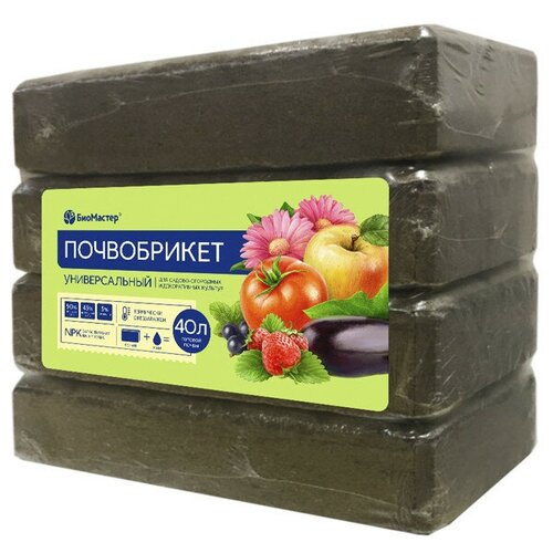 ������ ������ ����������� ������������� ���������, 40� ����