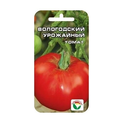 ������ ������ ����� ����������� ��������� ����