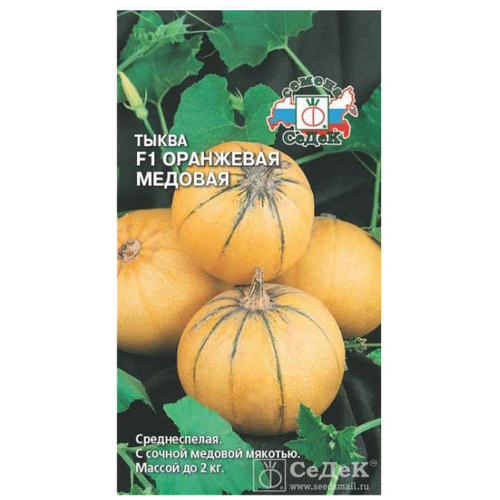 ������ ������ ������ ����� ����� ��������� ������� F1 ����