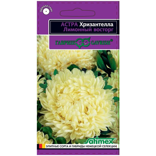 ������ ������ ������. ����� ����������� 