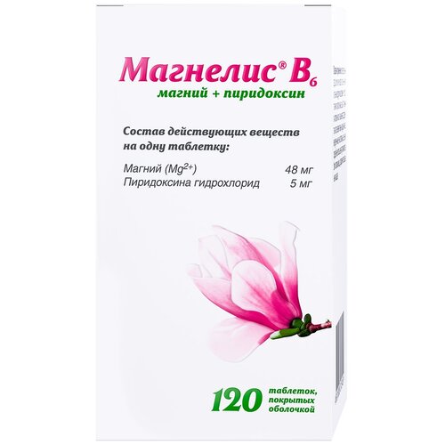 ������ ������ �������� B6 ���. �/�, 120 ��. ����