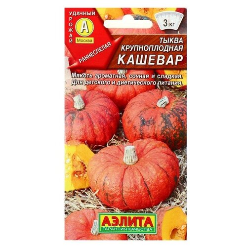 ������ ������ ������ ������ ����� ������������� 