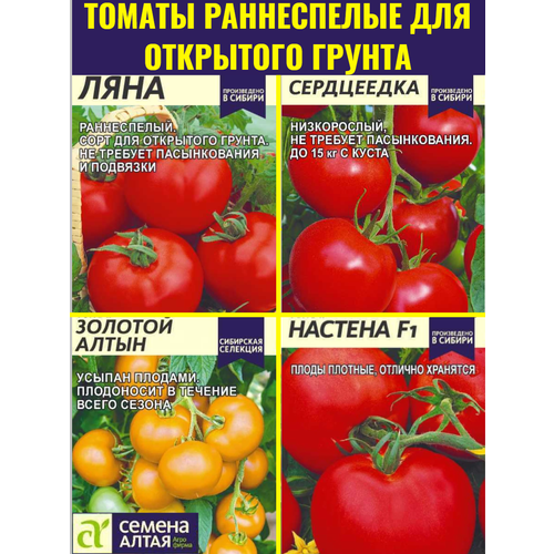 ������ ������ ����� ����� ������� ����������� ������ �� ��������� ������ ����� ����