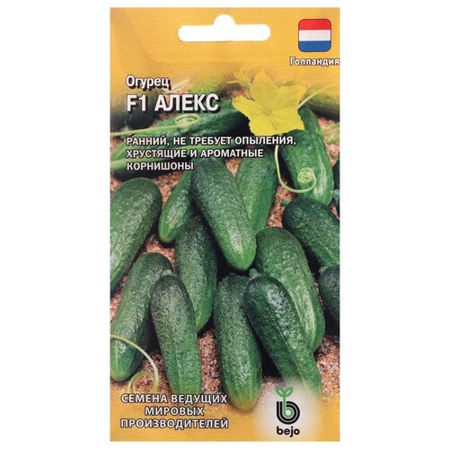 ������ ������ ������ ������ Bejo ������ ����� F1, �������� 5 ��. ����