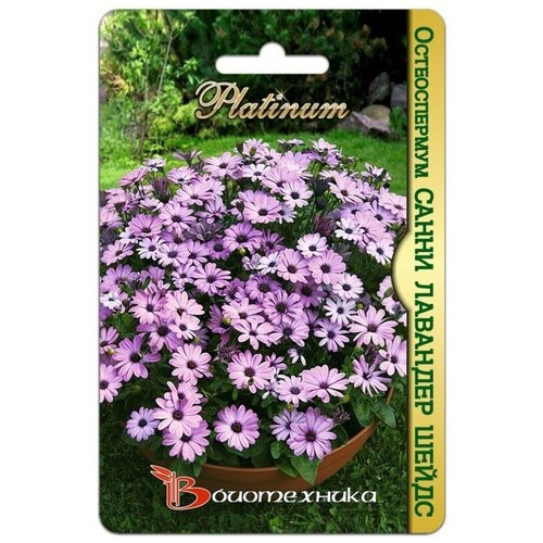 ������ ������ ������ ������������� 