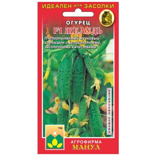 ������ ������ ������ ����� 