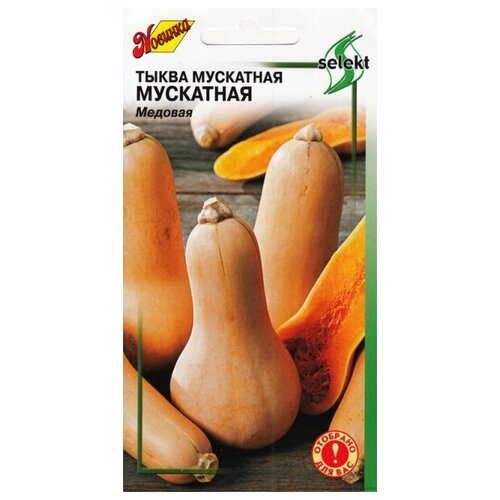 ������ ������ ����� ��������� ���������, 7 ����� ����