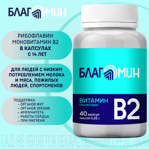 ������ ������ �������� ������� �2 (���������� 2 ��) ������� ������ 0,25� �40 ����