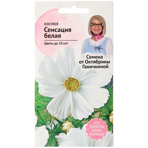 ������ ������ ������ �������� ����� 0,3 �, ������ ���������� ������ ��� ����, ���������� ����� ��� ���� � ���� ����