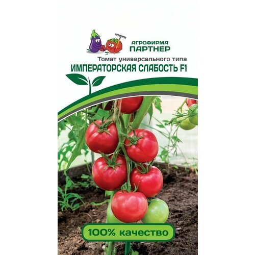 ������ ������ ������ ������ ��������� ������� 