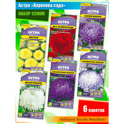 ������ ������ ����� ����� ���������, ����������� � ���������� ����� �� ������ ����� (6 �����) ����