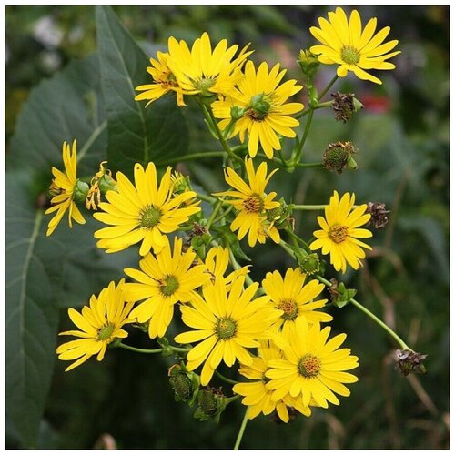 ������ ������ ������ ������ ������� ��������������� 30 ��. ����