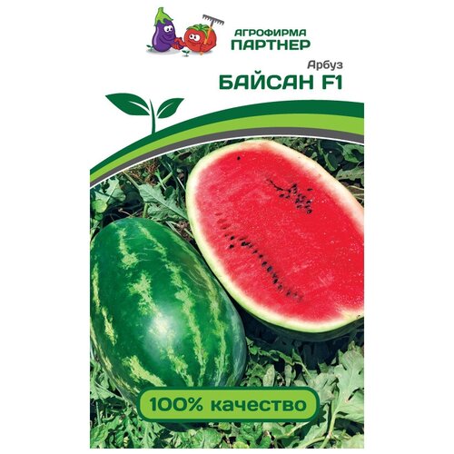 ������ ������ ������ ����� ������� ������ F1 5 ����� ����