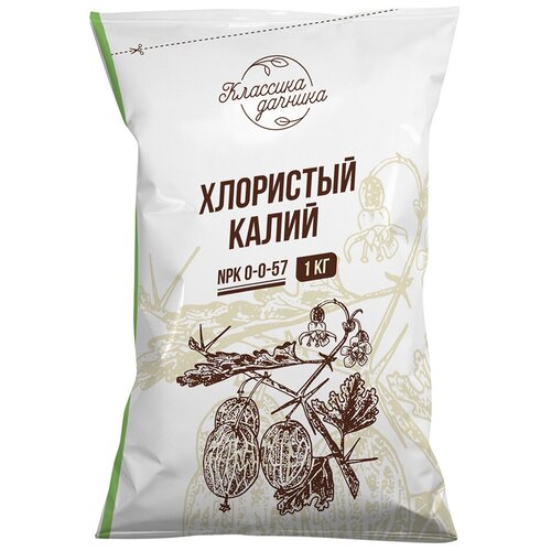 ������ ������ ����� ��������� (����� ������) 1�� ��������� ��� �������� ����