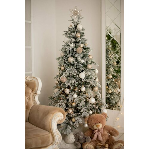 ������ ������ ������������� ���� �����������, �����+���, 150�� ����