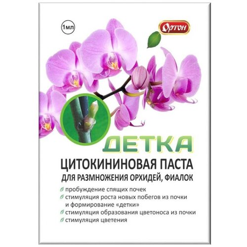 ������ ������ ������������� ����� �����, 1 �� ����