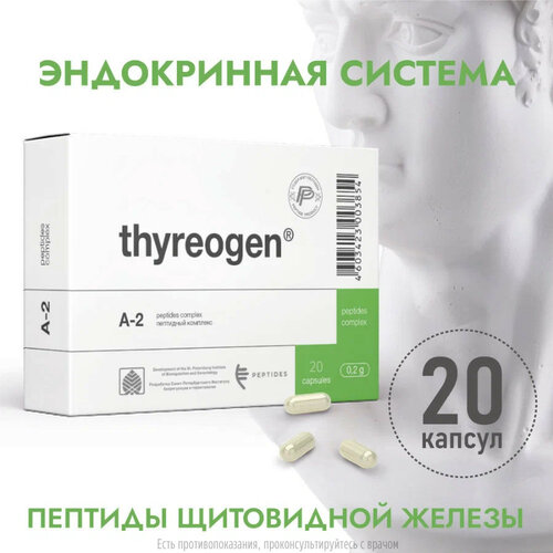 ������ ������ �������� ����., 20 ��. ����