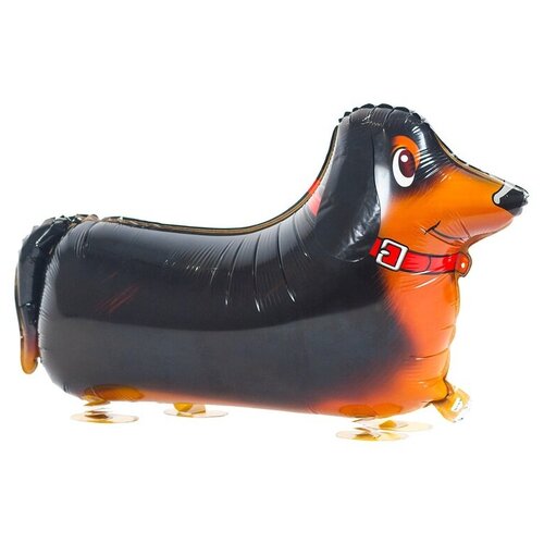 ������ ������ ��� (24'/61 ��) ������� ������, �����, ����������, 1 ��. ����