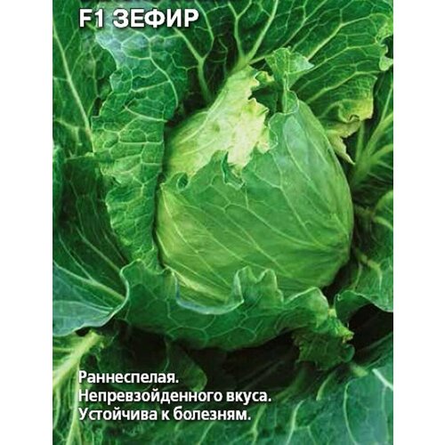 ������ ������ ������ ������� �/� F1 ����� ����