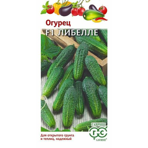 ������ ������ ������ ������ ������� F1 0,5 � �� (������) ����