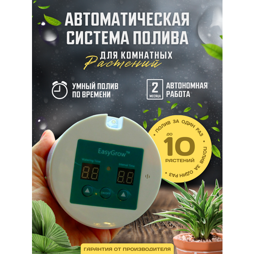 ������ ������ ��������� ��� ��������� �������� �� 10 ��������� �� �������� � ��������, ��������� ����� ��� �������� ������ ����