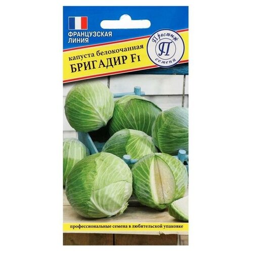 ������ ������ ������ ������� ������������ 