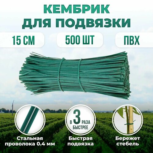 ������ ������ ����� �������� ��� ������� �������� 4�� �15 �� 500 ���� �������, ������� - ��������� � ��� ����