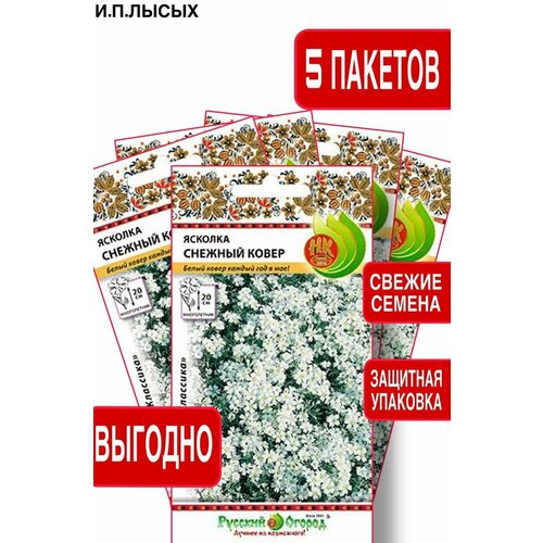 ������ ������ ����� ������� ������� ����� 5�� ����