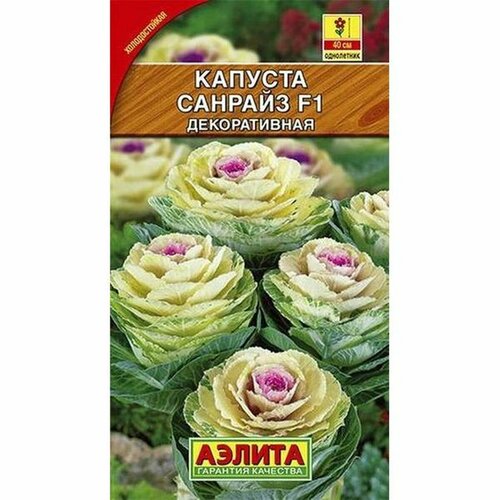 ������ ������ ������ ������� ���. ������� F1 (����������) (������) 6�� ����