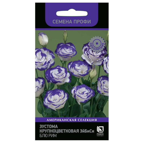 ������ ������ ������ ����� ������� ������ ��� ��� ��������������� ����