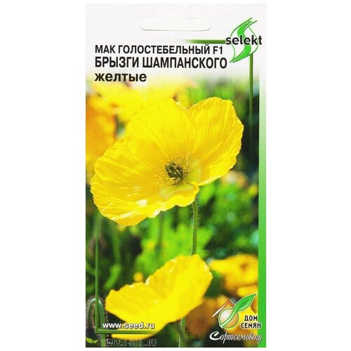 ������ ������ ��� �������������� F1 ������ ����������� ������, 10 ����� ����