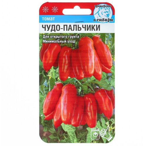 ������ ������ ������ ����� 