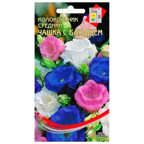 ������ ������ ����������� 