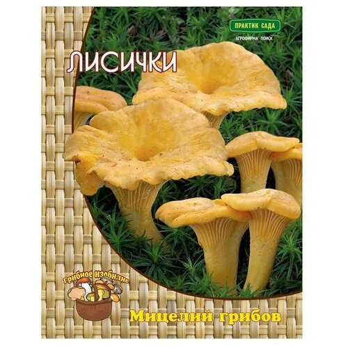 ������ ������ ������� (������� �� ��������), �� ����